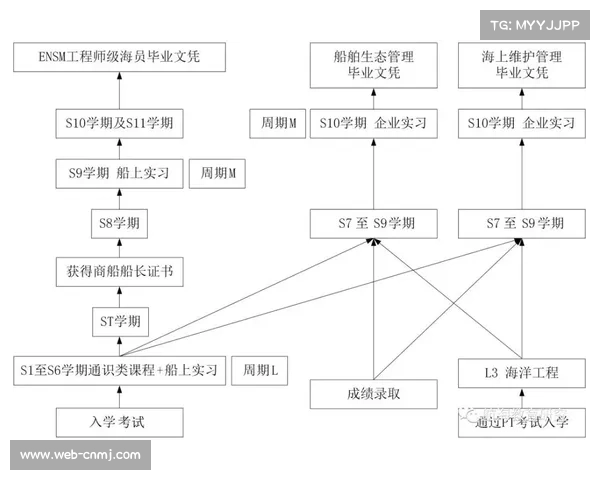 覃海洋教练组借鉴F1进站模式创新接力交接流程提升效率 覃海洋教练组借鉴F1进站模式创新接力交接流程提升效率